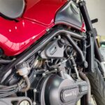 BENELLI LEONCINO 500 AÑO 2021 full